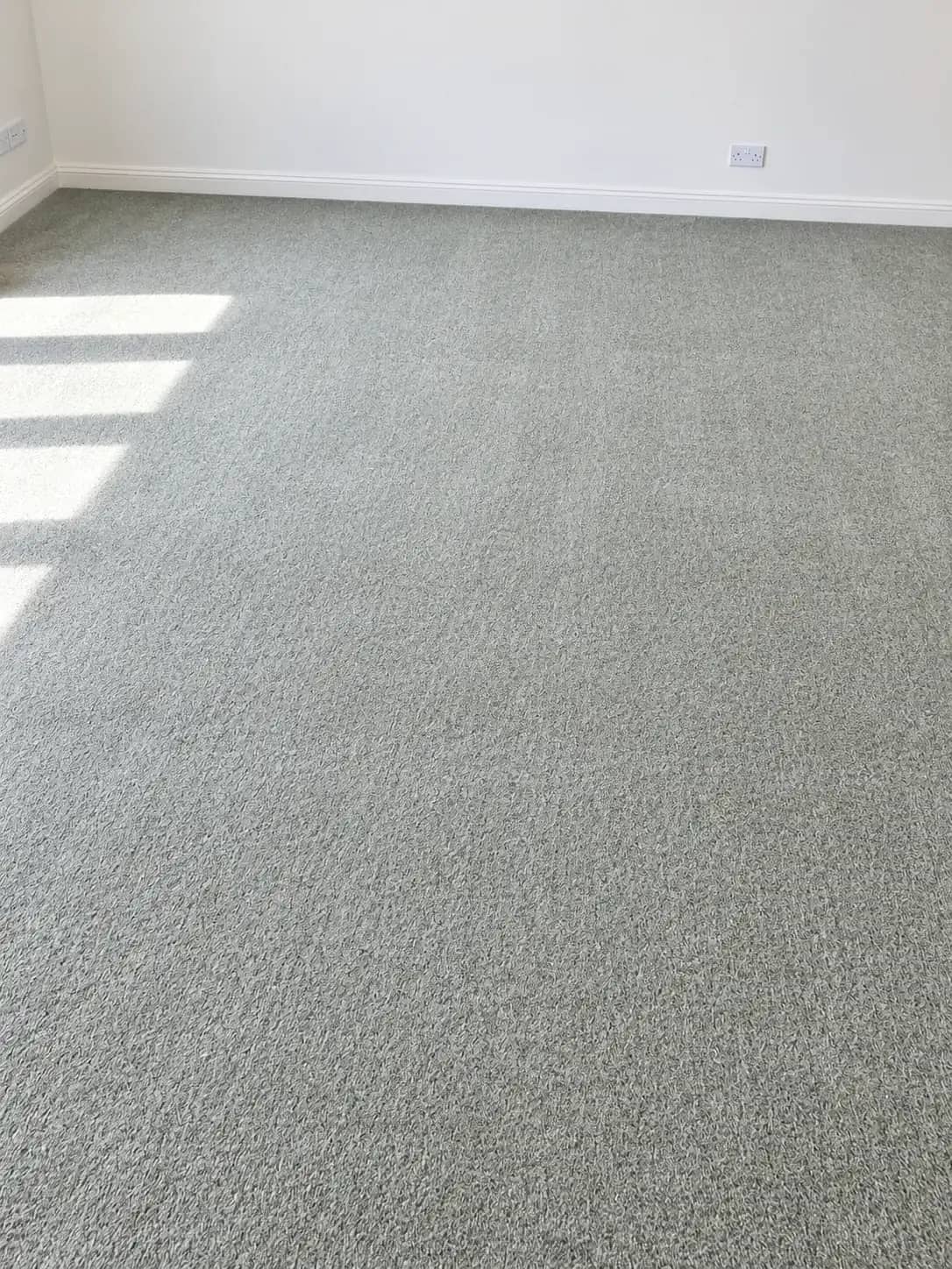 A pale carpet cleaned and dried in an empty room.