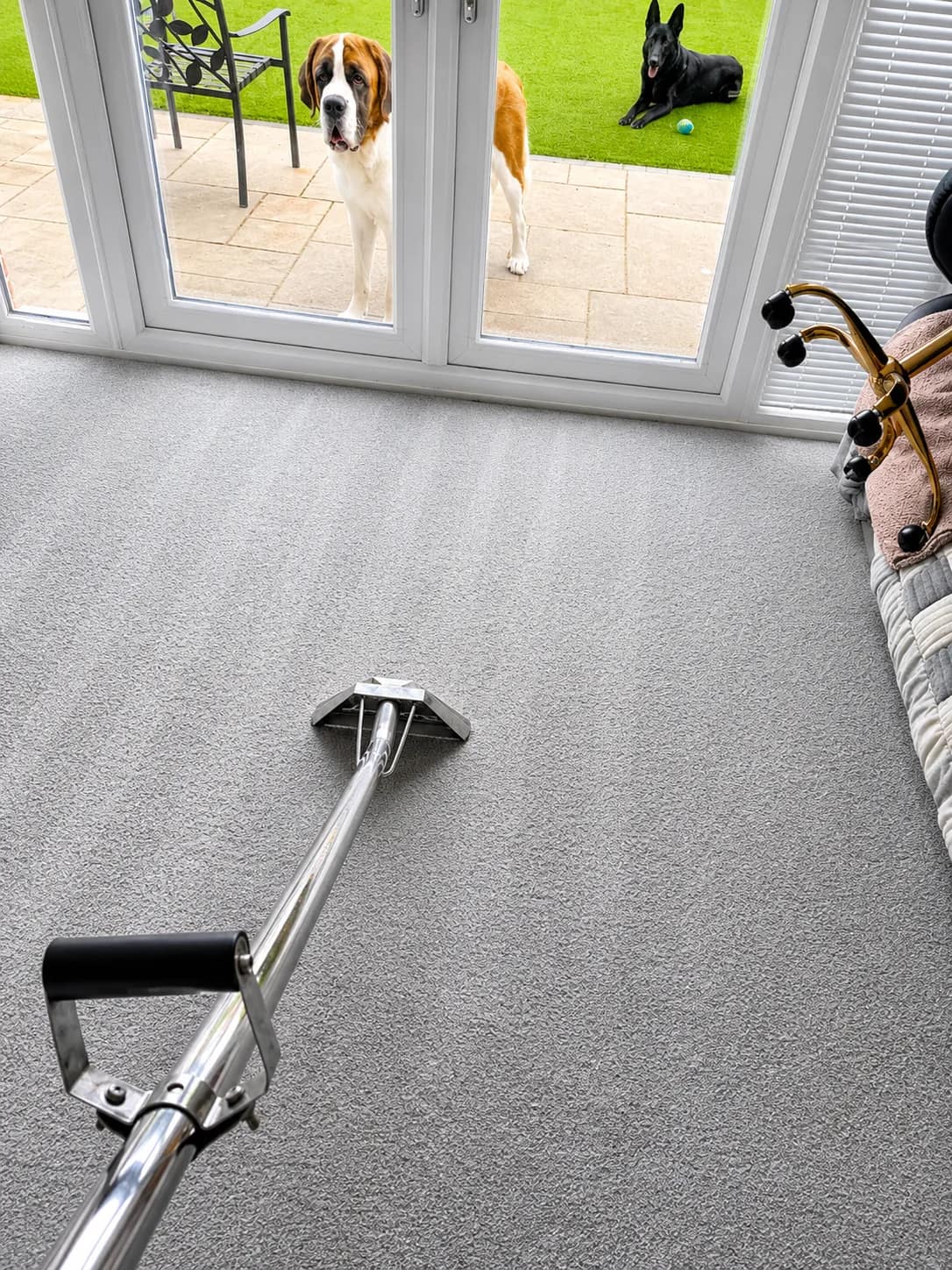 Carpet cleaning under way near patio doors in a family home